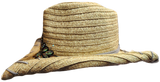 Coley Starburst Western Hat