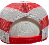 250 Years American Freedom Cap